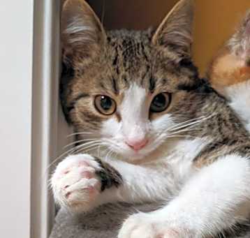 Photo of Kairi