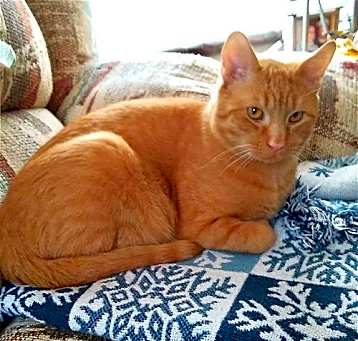 Photo of Freddy