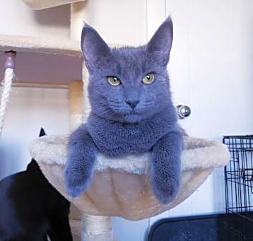Photo of Chloe