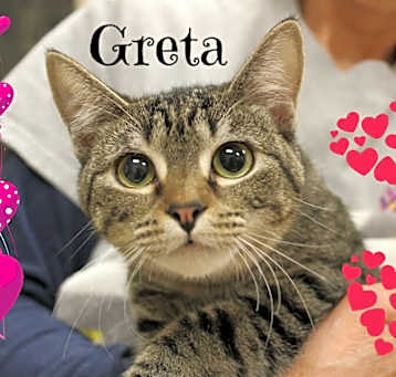 Photo of Greta R.