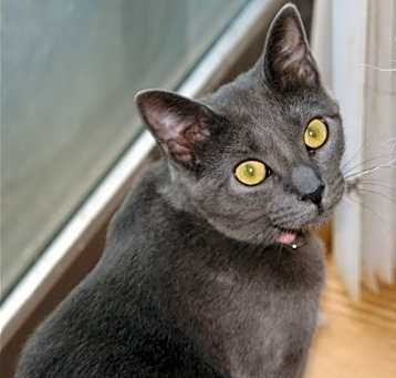 Photo of Margo