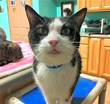 Photo of Sammy