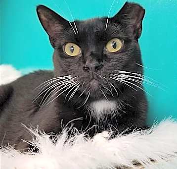 Photo of Essie