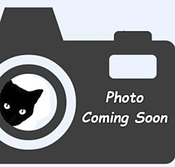 Photo of Gizelle