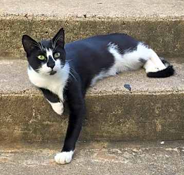 Photo of Stoffles