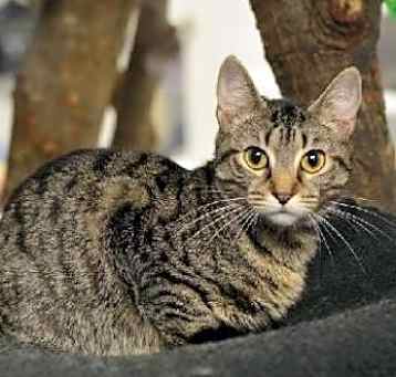 Photo of Evina