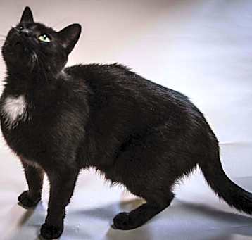 Photo of Ming