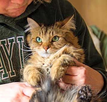 Photo of Libby