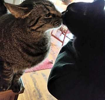 Photo of Linus