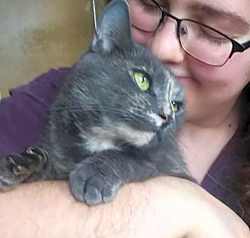 Photo of Marbles