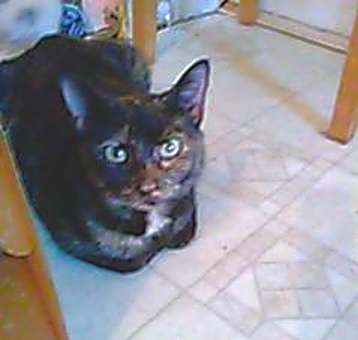 Photo of Precious