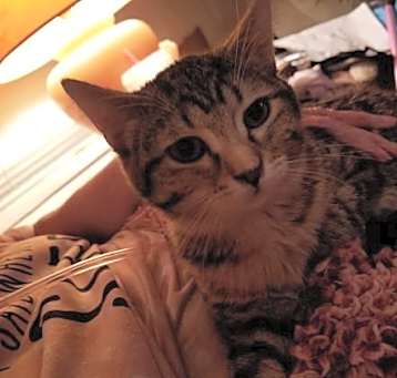 Photo of Rukia