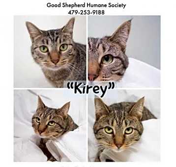 Photo of Kirey