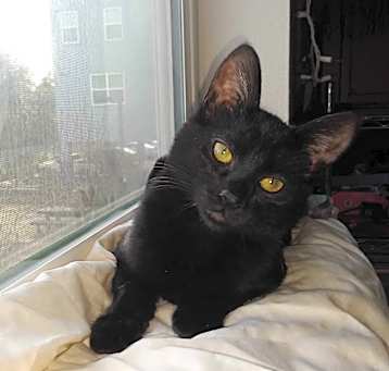 Photo of Blinky