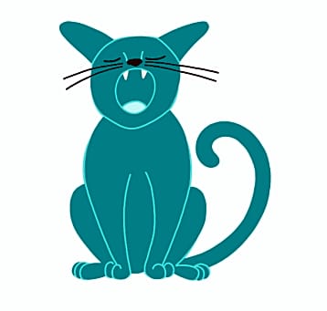 Photo of JD - typical cat
