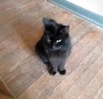 Photo of Molly