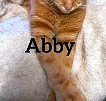 Photo of Abby