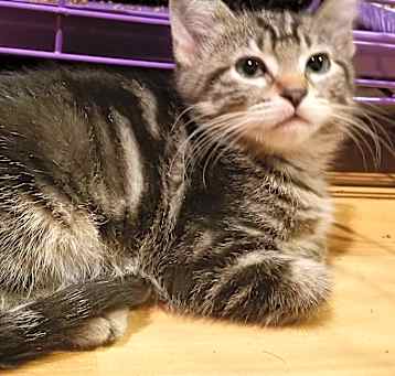 Photo of Sofie