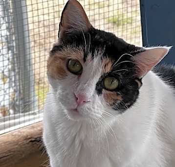 Photo of Miss Pretty