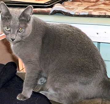 Photo of GABBI