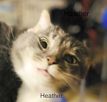 Photo of Heather