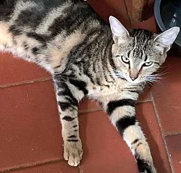 Photo of Leia