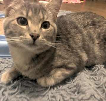 Photo of Mystic