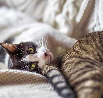 Photo of Fiona