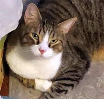 Photo of Lucky R