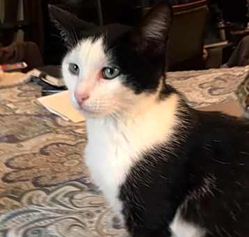 Photo of Gunter