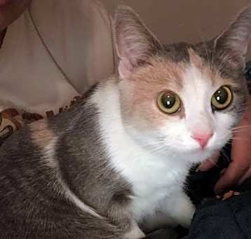 Photo of Nela