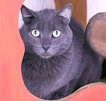 Photo of OLI