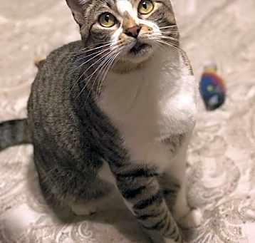 Photo of Katalie