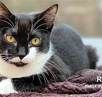 Photo of Rufio