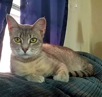 Photo of Chloe