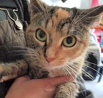 Photo of Nya