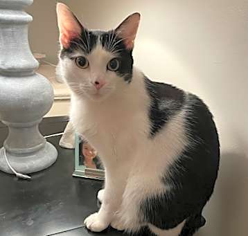 Photo of Rosie