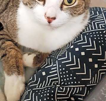 Photo of Lily
