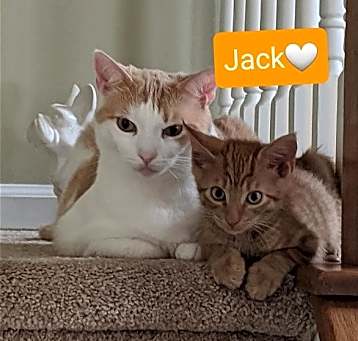 Photo of Jack