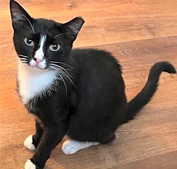 Photo of Junebug