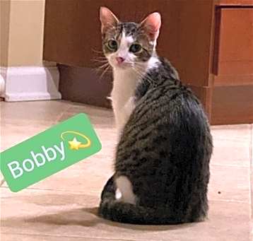 Photo of Bobby