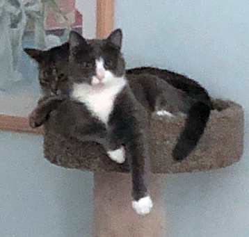 Photo of GRACIE III