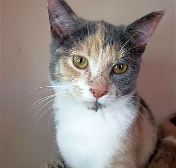 Photo of Lilee