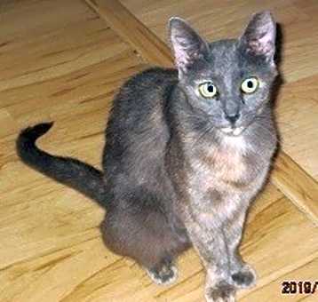 Photo of Dina