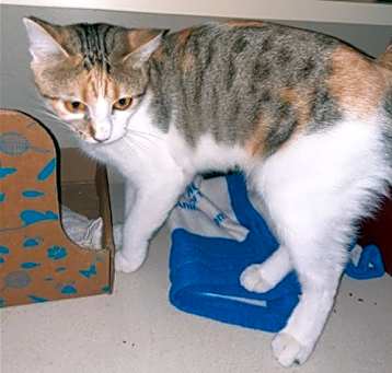 Photo of Sookie