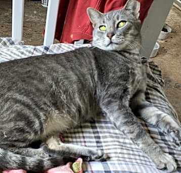 Photo of Mr.Grey
