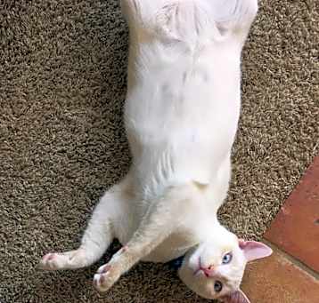 Photo of Skylar