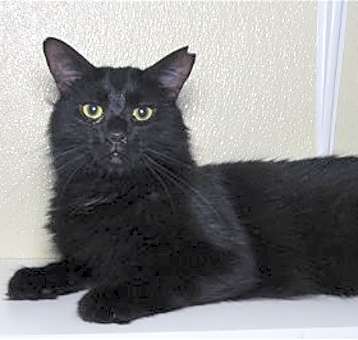 Photo of Feral Terry