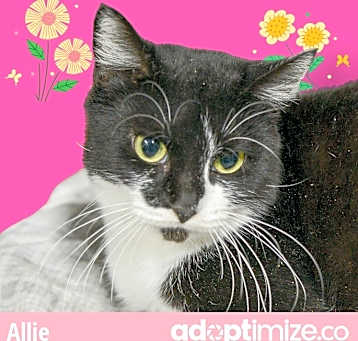 Photo of Allie