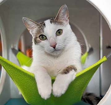 Photo of Gaspar